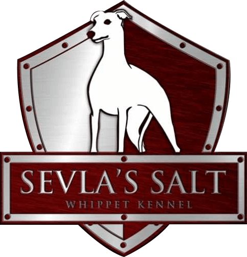 Canil Sevla's Salt